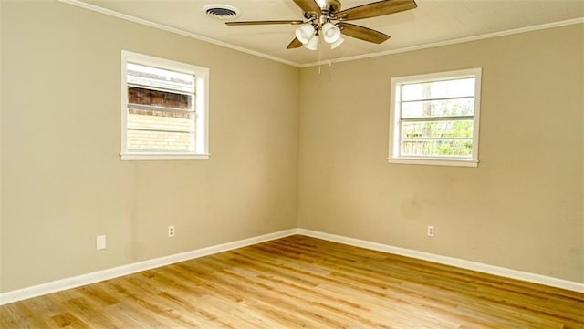 912 Mcdermott Dr, Morgan City, LA 70380 - photo 16