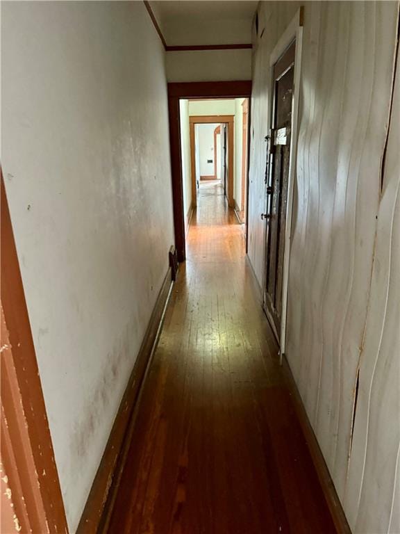 351517 Tulane Ave, New Orleans, LA 70119 - corridor with dark wood-style flooring and ornamental molding