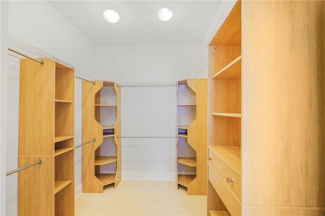 walk in closet with light colored carpet