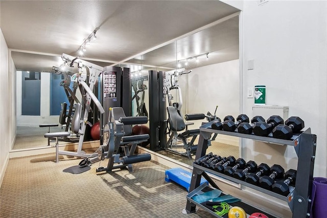330 Julia St Unit 223, New Orleans, LA 70130 - workout area with rail lighting and carpet