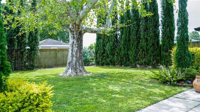 view of yard featuring fence
