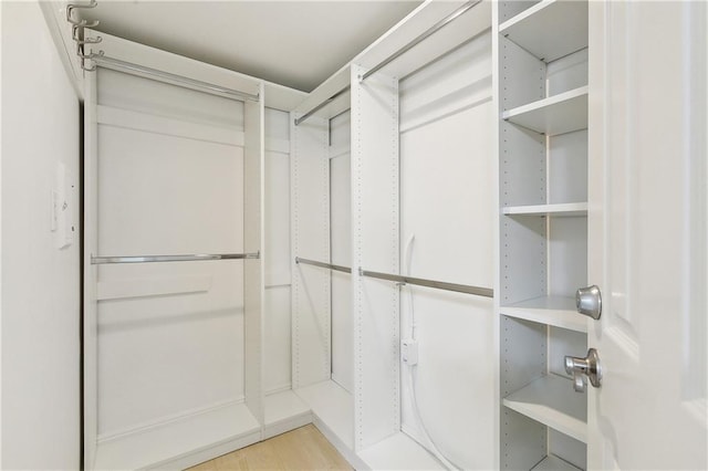 spacious closet featuring light wood-type flooring