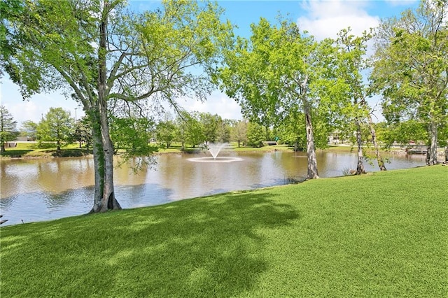 property view of water