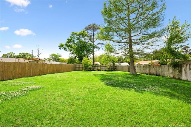 view of yard with a fenced backyard