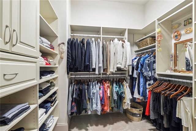 519 Homestead Ave, Metairie, LA 70005 - view of walk in closet