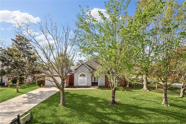 view of front of property featuring stucco siding, concrete driveway, and a front lawn