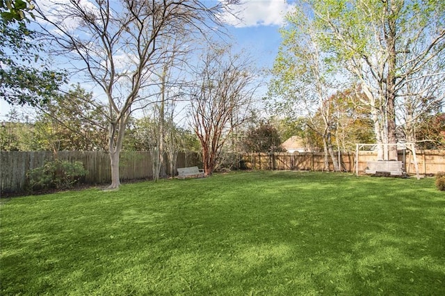 view of yard with a fenced backyard