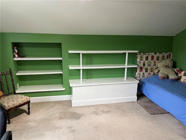 bedroom with carpet