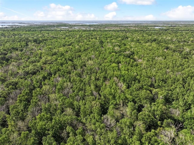 1558 Bayou Rd, Saint Bernard, LA 70085 - photo 10