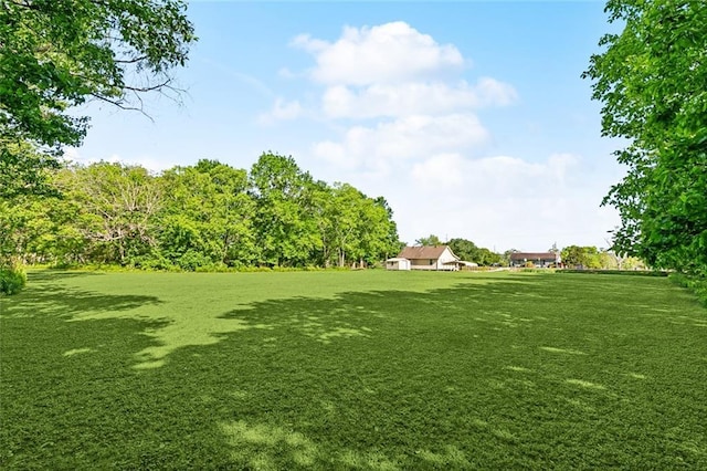 1558 Bayou Rd, Saint Bernard, LA 70085 - photo 15