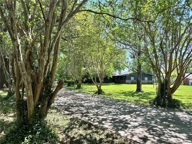 130 N Oak Ct, Luling, LA 70070 - view of home's community featuring a yard