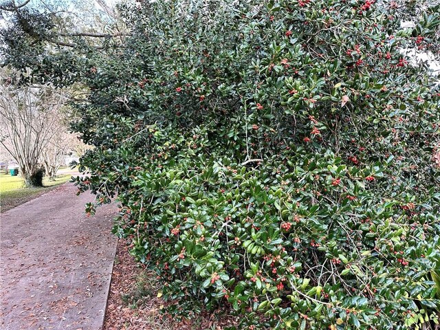 130 N Oak Ct, Luling, LA 70070 - exterior view of concrete driveway