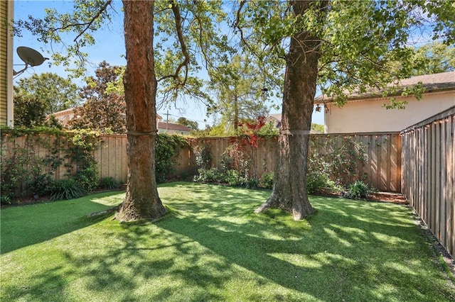 view of yard with a fenced backyard