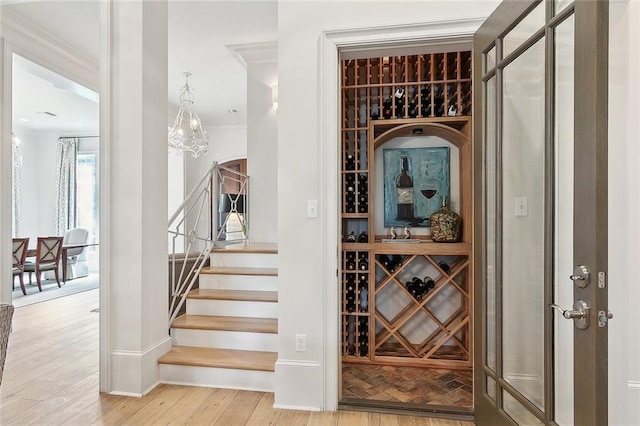 316 Sena Dr, Metairie, LA 70005 - wine cellar with baseboards, ornamental molding, and wood finished floors