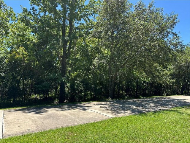 12 Preserve Ln, Mandeville, LA 70471