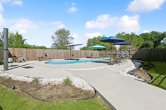 313 Sarah Victoria Dr, Belle Chasse, LA 70037 - view of swimming pool featuring a fenced in pool, a patio area, and a fenced backyard