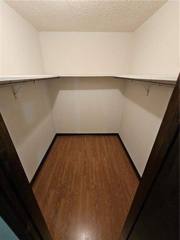 spacious closet featuring wood finished floors