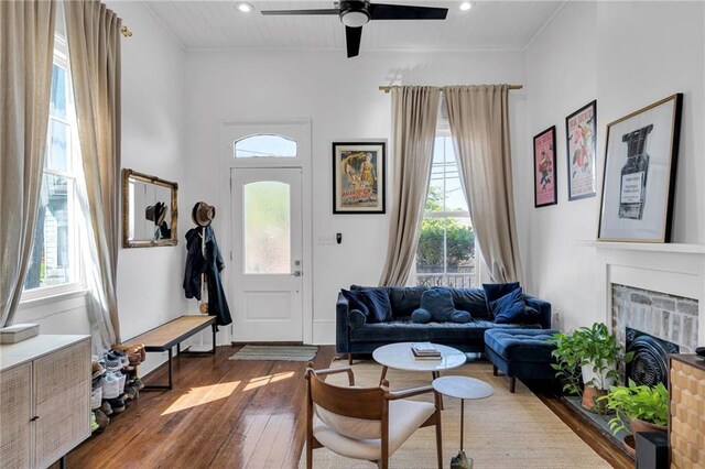living area featuring dark wood-type flooring, plenty of natural light, and a fireplace