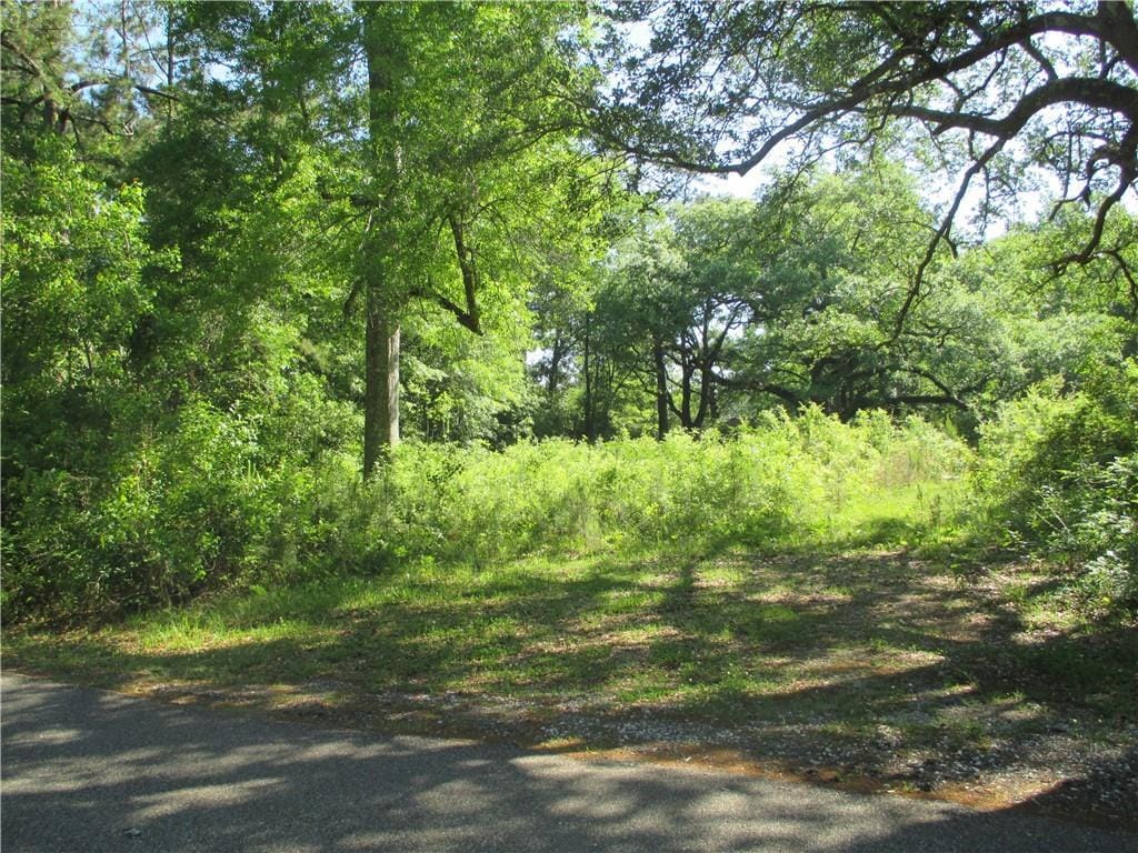 65058 Holmes St, Pearl River, LA 70452 - photo 2