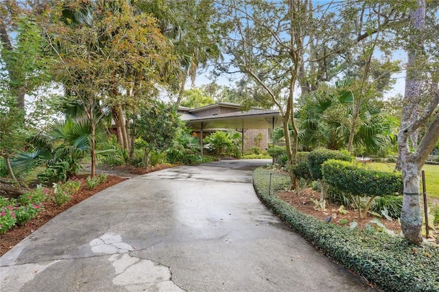 view of front of house with concrete driveway