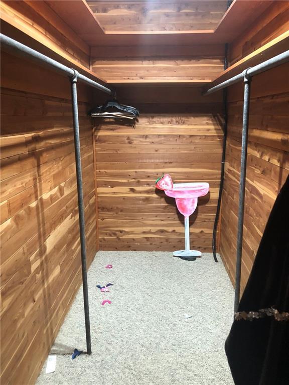spacious closet featuring carpet flooring