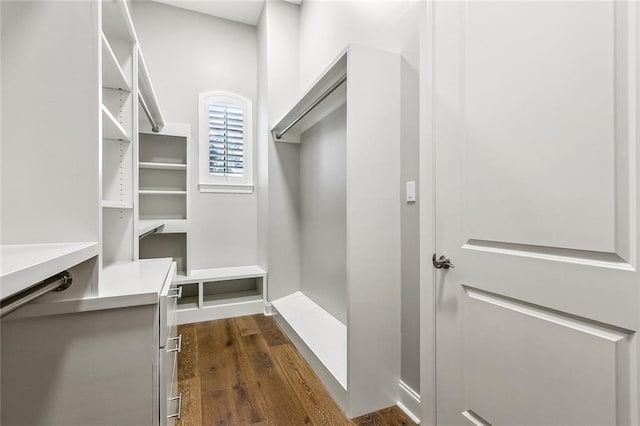 walk in closet with dark wood-style floors