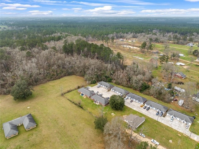 48351 Woodhaven Rd, Tickfaw, LA 70466 - birds eye view of property featuring a wooded view