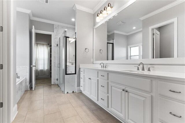 bathroom featuring crown molding, a sink, and a stall shower