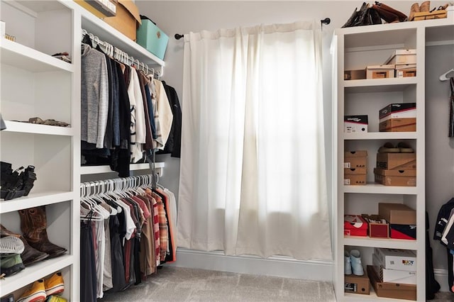 view of walk in closet