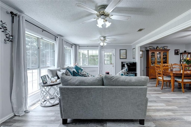 232 Chateau Dr, Slidell, LA 70460 - living room with light wood-type flooring, plenty of natural light, a textured ceiling, ceiling fan, and crown molding