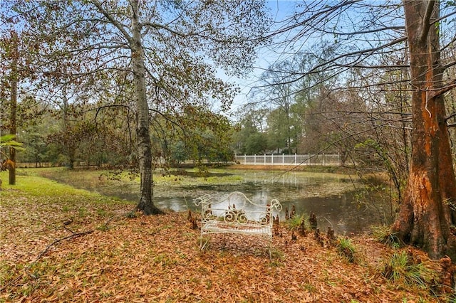 1805 13th Ave, Franklinton, LA 70438 - view of yard featuring a water view