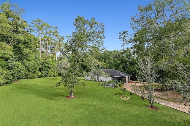 view of yard featuring a forest view