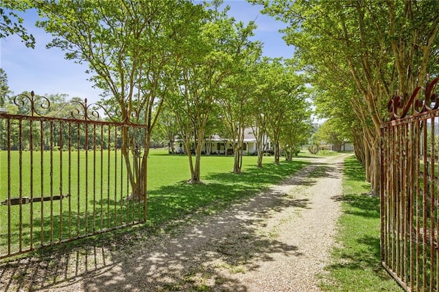 74307 Jack Lloyd Rd, Abita Springs, LA 70420 - view of home's community with a lawn