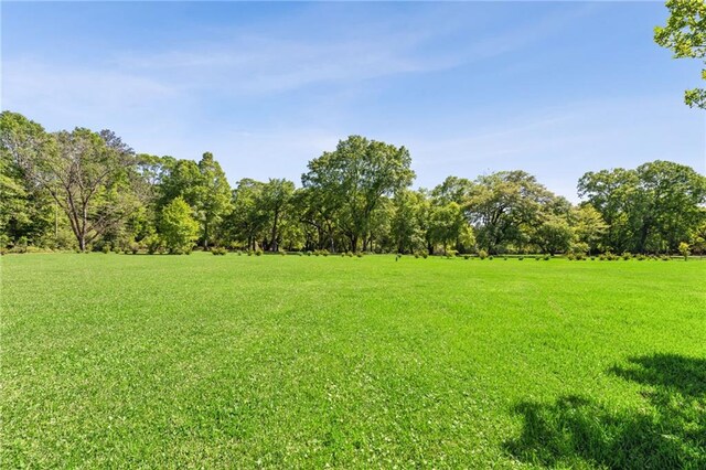 74307 Jack Lloyd Rd, Abita Springs, LA 70420 - view of nature