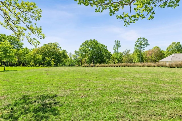 74307 Jack Lloyd Rd, Abita Springs, LA 70420 - view of yard