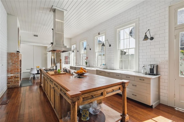 kitchen featuring ventilation hood, wooden ceiling, dark wood-style flooring, brick wall, and wooden counters