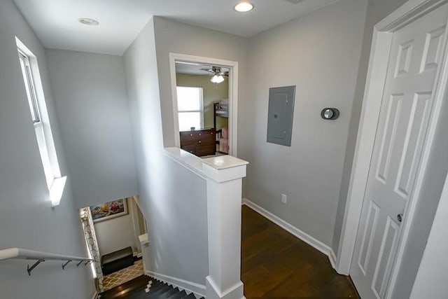 hall featuring electric panel, baseboards, recessed lighting, and dark wood-type flooring