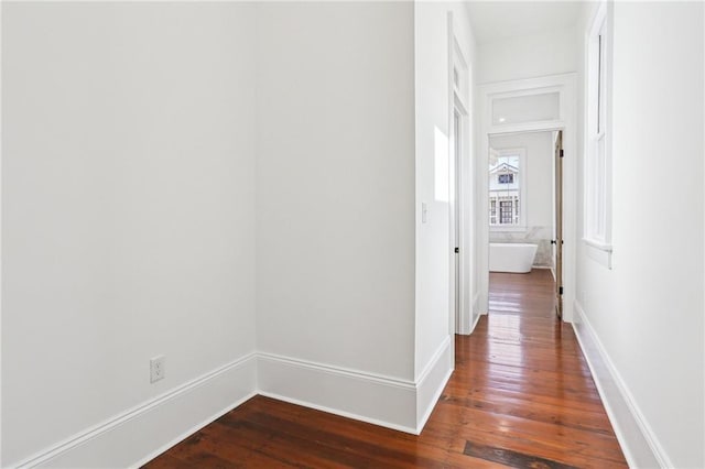 2623 Dauphine St, New Orleans, LA 70117 - hallway with dark wood-style flooring and baseboards