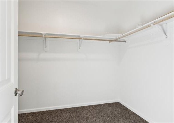 spacious closet featuring carpet floors
