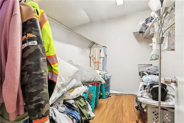 spacious closet featuring wood finished floors