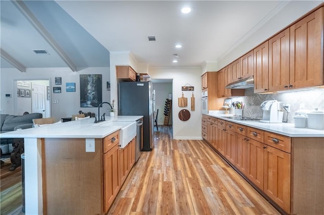 kitchen with visible vents, a sink, light wood-style floors, under cabinet range hood, and stainless steel appliances