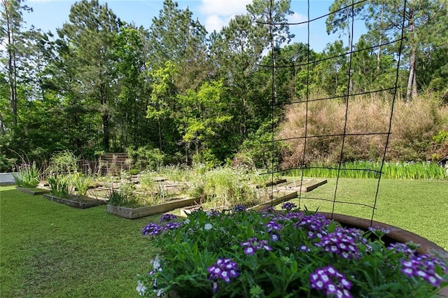 60209 Pine Dr, Lacombe, LA 70445 - surrounding community with a yard and a garden