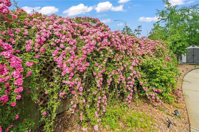 616 Marilyn Dr, Mandeville, LA 70448 - view of details