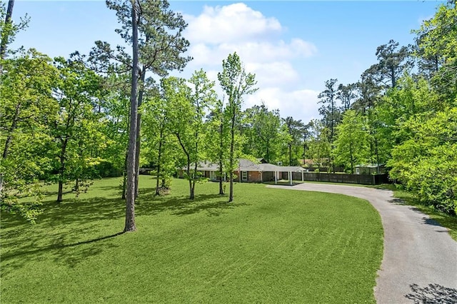 123 Fischer Dr, Pearl River, LA 70452 - surrounding community with driveway, fence, a yard, and an attached carport