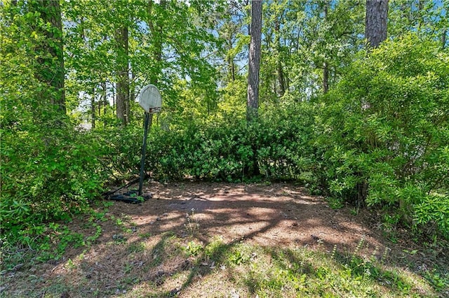 123 Fischer Dr, Pearl River, LA 70452 - view of yard