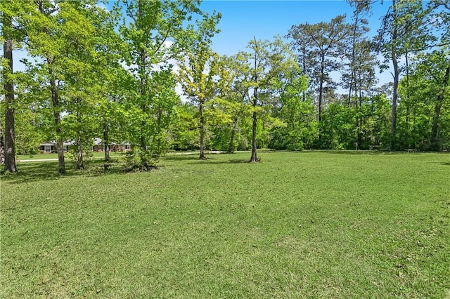 123 Fischer Dr, Pearl River, LA 70452 - view of yard
