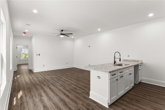 201012 N Dorgenois St, New Orleans, LA 70119 - kitchen with a sink, dark wood-type flooring, a ceiling fan, visible vents, and baseboards