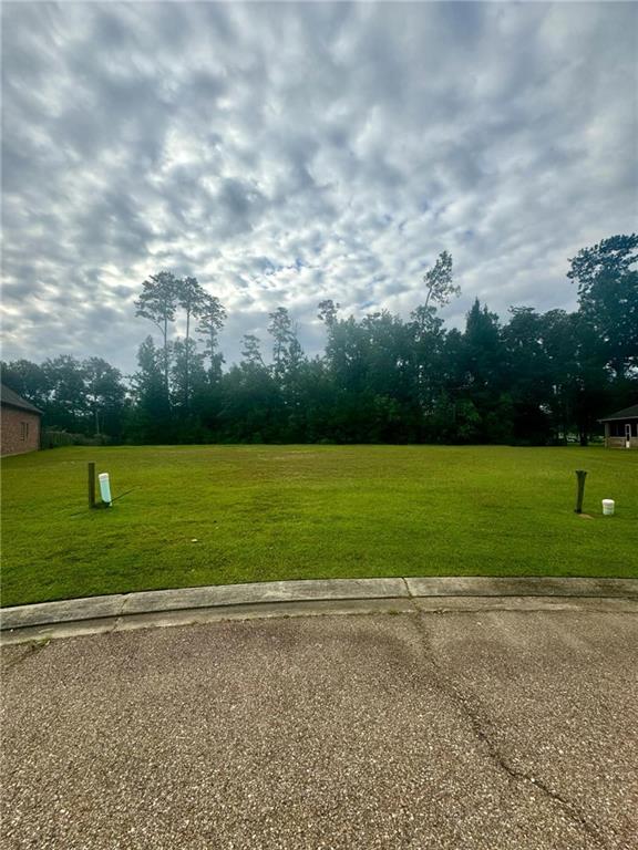 19517 Par Ln, Hammond, LA 70401 - photo 3