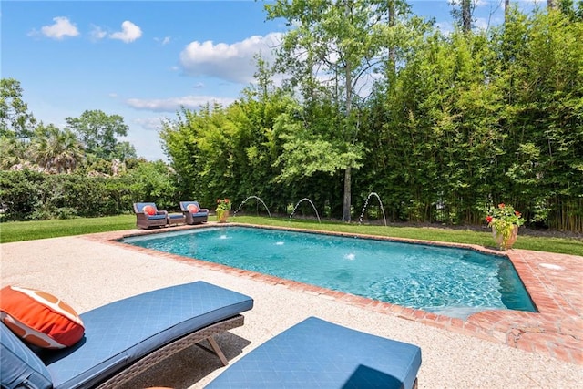 view of swimming pool featuring a patio area and a fenced in pool