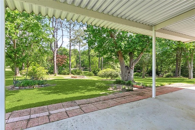 view of yard featuring a patio area